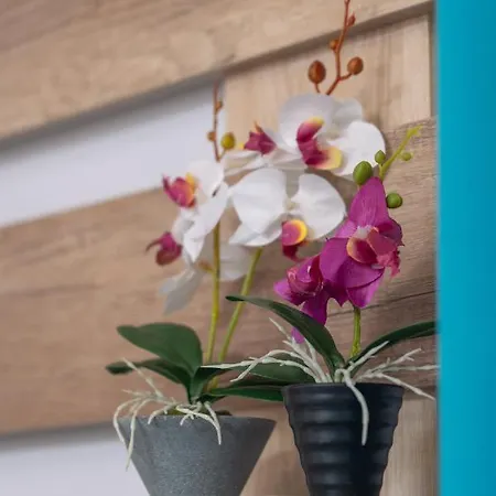 Aphrodite Ideal For Holidays In *