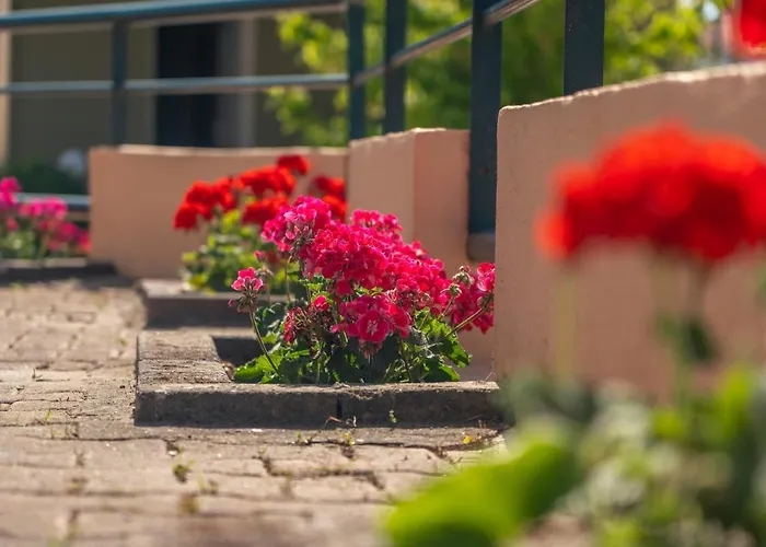 Aphrodite Ideal For Holidays In *